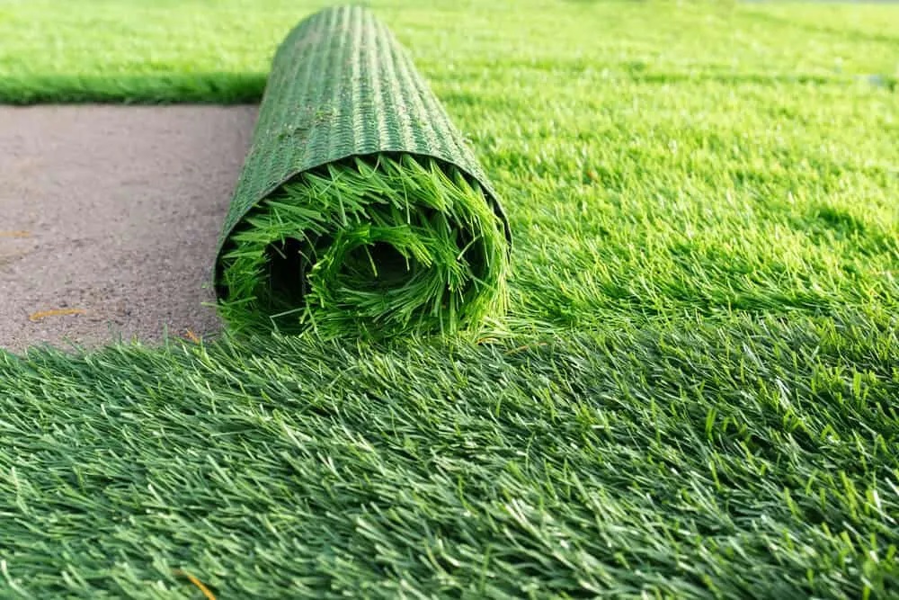 artificial-grass-features-for-choosing-the-artificial-grass-talketer