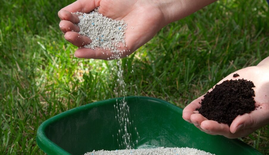 Best Fertilizer for Your Lawn