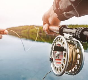 Fly Fishing Techniques