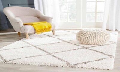 Are Shaggy Rugs the Ultimate Comfort Oasis for Your Home