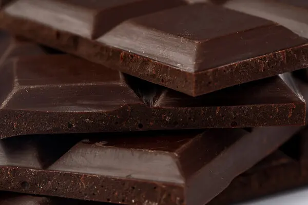 Mushroom Chocolate